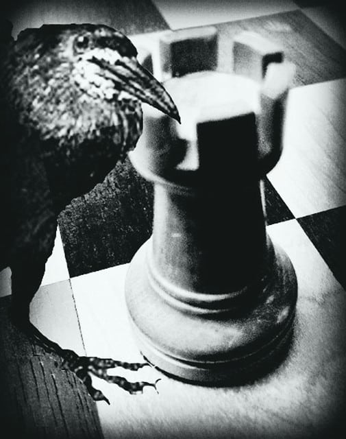 ▷ Chess rook: Amazing new information about this piece!